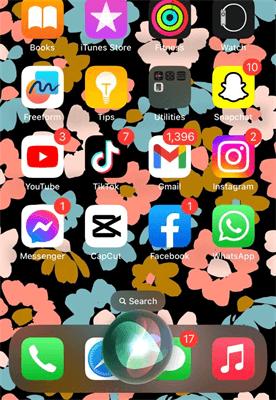 Turn-off-SOS-on-iPhone-via-Siri