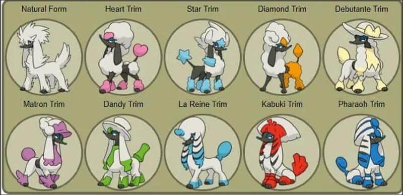 The-Rarity-of-Furfrou-Forms-Pokemon-GO