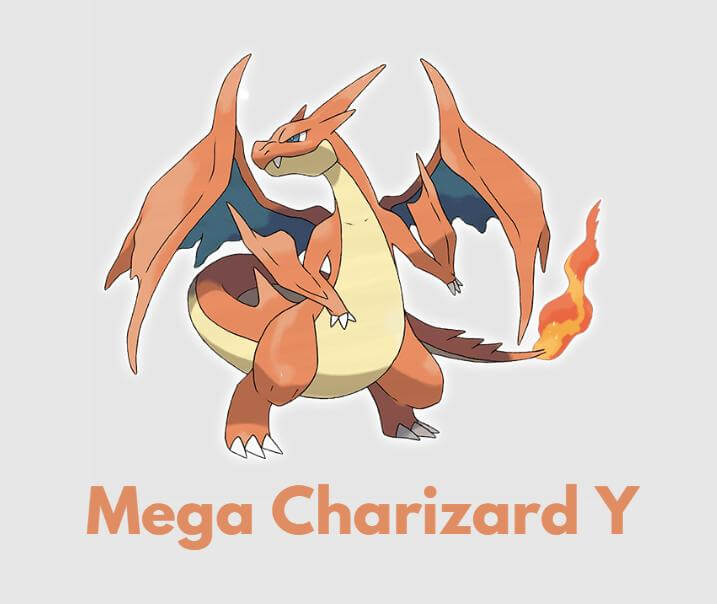 What-Is-a-Mega-Charizard-Y