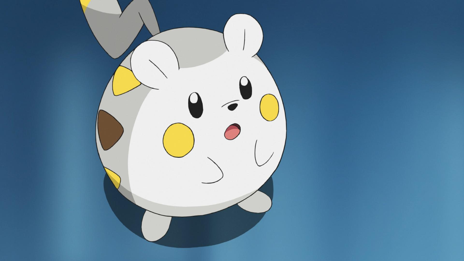 Best-Movesets-of-Togedemaru