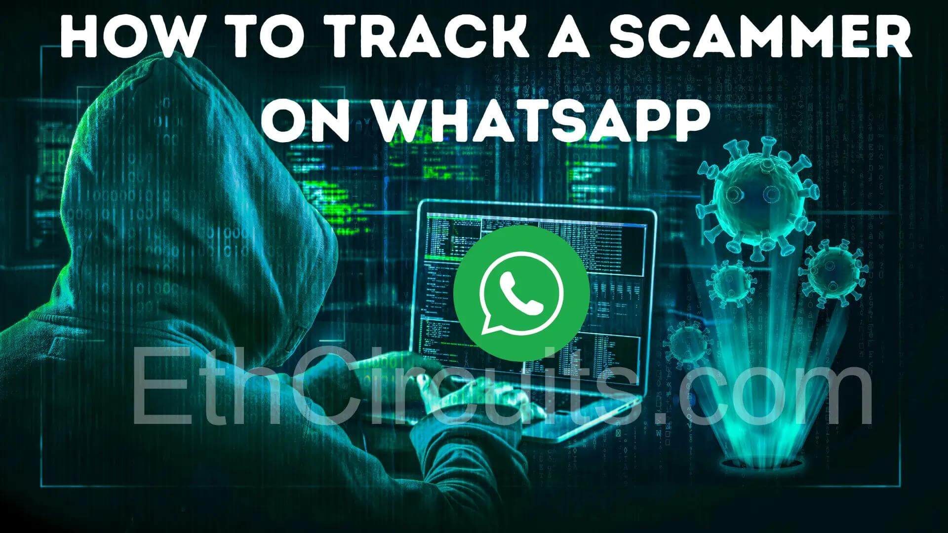 How-to-Track-a-Scammer-on-WhatsApp