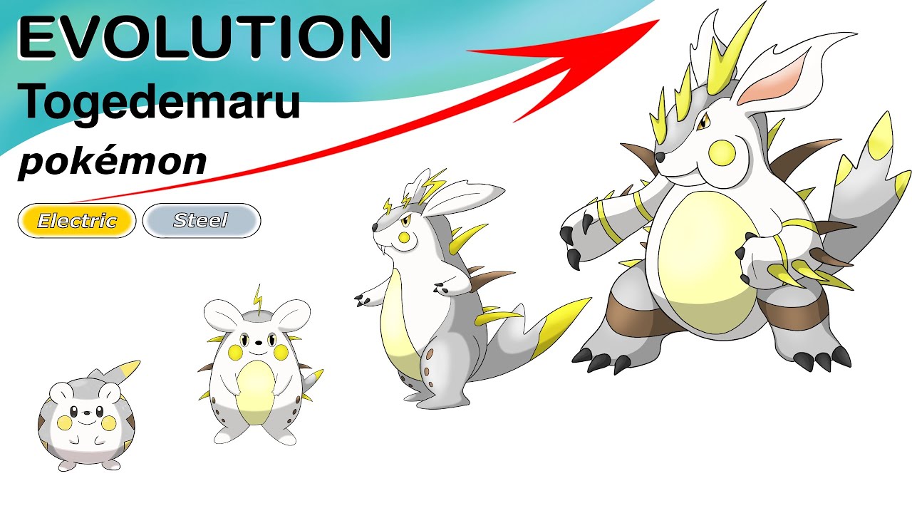 Togedemaru's-Evolutionary-Line-in-Pokemon-Go
