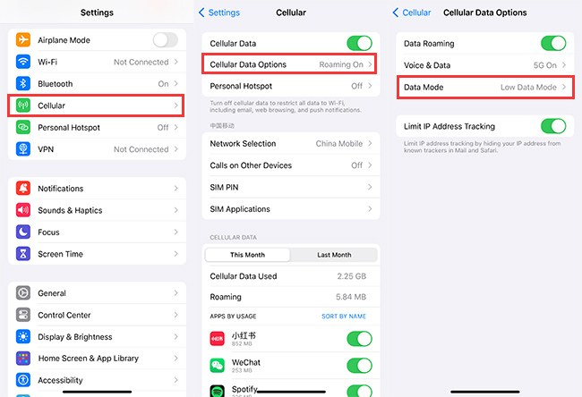 iPhone low data mode