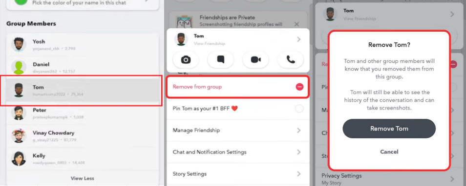 remove member on group chat